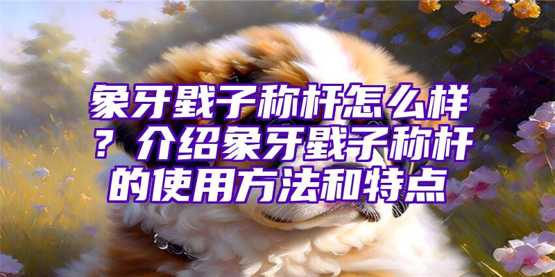 象牙戥子称杆怎么样？介绍象牙戥子称杆的使用方法和特点