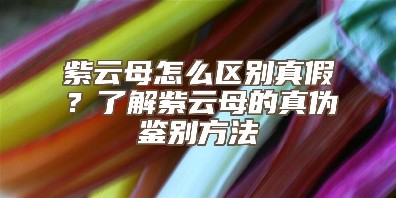 紫云母怎么区别真假？了解紫云母的真伪鉴别方法