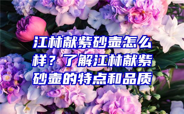 江林献紫砂壶怎么样？了解江林献紫砂壶的特点和品质