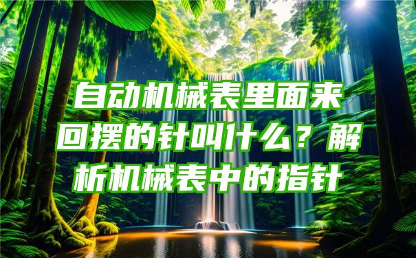 自动机械表里面来回摆的针叫什么？解析机械表中的指针