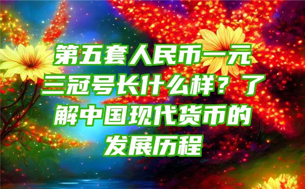 第五套人民币一元三冠号长什么样？了解中国现代货币的发展历程