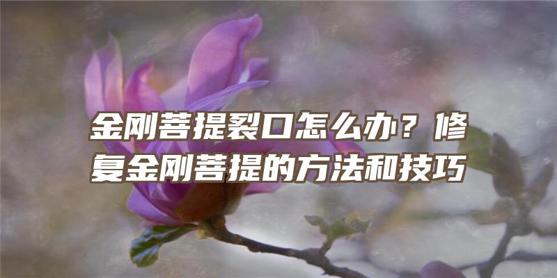 金刚菩提裂口怎么办？修复金刚菩提的方法和技巧