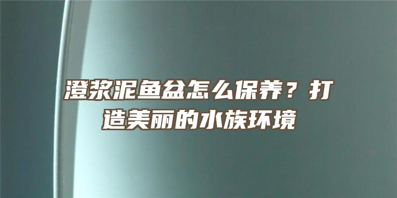 澄浆泥鱼盆怎么保养？打造美丽的水族环境