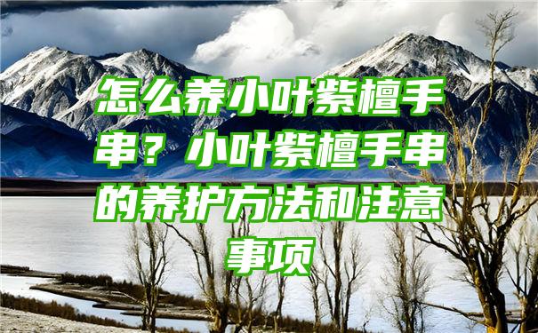 怎么养小叶紫檀手串？小叶紫檀手串的养护方法和注意事项