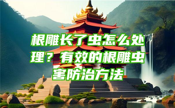 根雕长了虫怎么处理？有效的根雕虫害防治方法