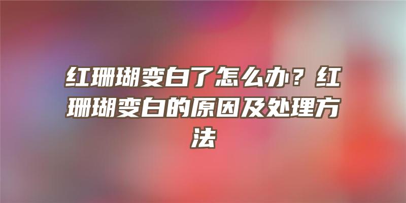 红珊瑚变白了怎么办？红珊瑚变白的原因及处理方法