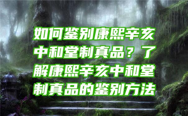 如何鉴别康熙辛亥中和堂制真品？了解康熙辛亥中和堂制真品的鉴别方法