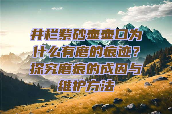 井栏紫砂壶壶口为什么有磨的痕迹？探究磨痕的成因与维护方法