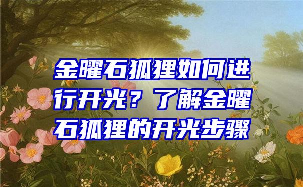 金曜石狐狸如何进行开光？了解金曜石狐狸的开光步骤