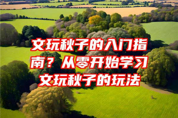 文玩秋子的入门指南？从零开始学习文玩秋子的玩法