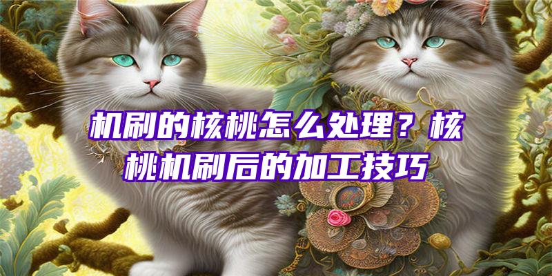 机刷的核桃怎么处理？核桃机刷后的加工技巧