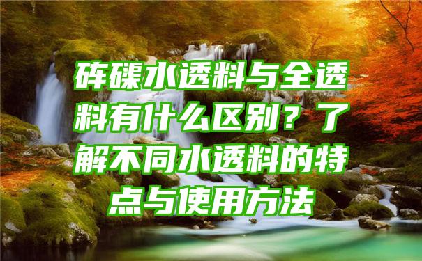 砗磲水透料与全透料有什么区别？了解不同水透料的特点与使用方法