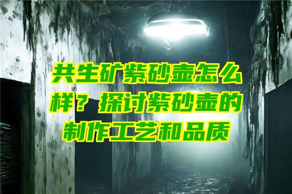 共生矿紫砂壶怎么样？探讨紫砂壶的制作工艺和品质