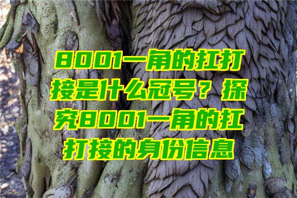 8001一角的扛打接是什么冠号？探究8001一角的扛打接的身份信息