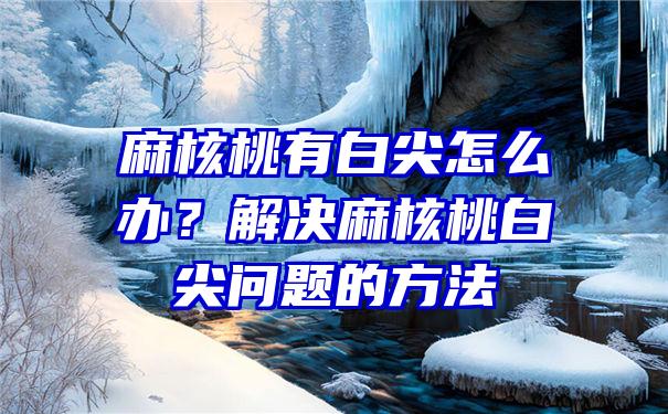 麻核桃有白尖怎么办？解决麻核桃白尖问题的方法