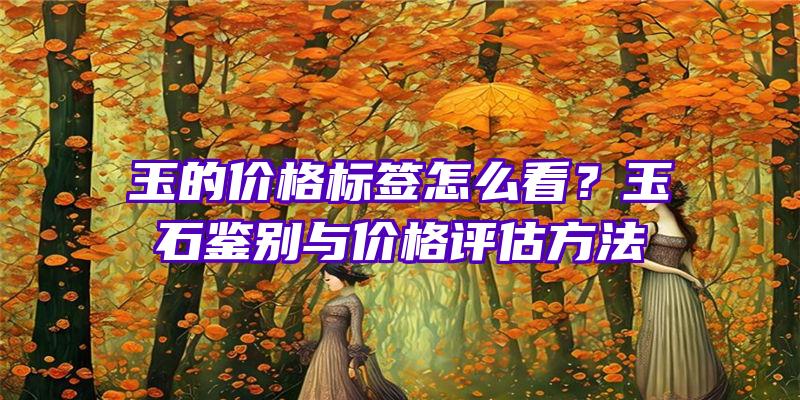 玉的价格标签怎么看？玉石鉴别与价格评估方法