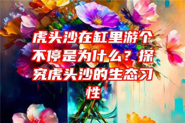 虎头沙在缸里游个不停是为什么？探究虎头沙的生态习性