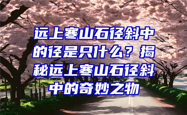 远上寒山石径斜中的径是只什么？揭秘远上寒山石径斜中的奇妙之物