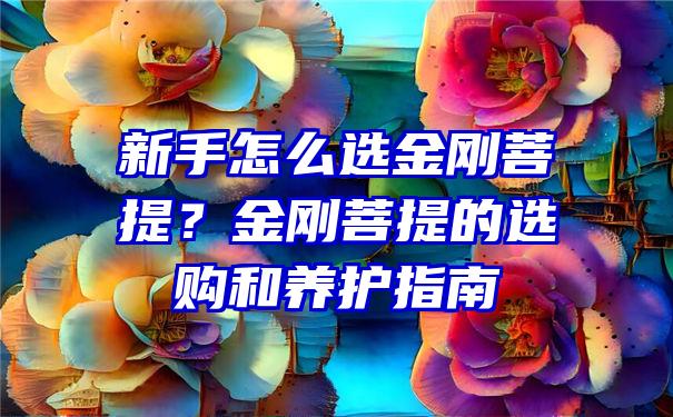 新手怎么选金刚菩提？金刚菩提的选购和养护指南