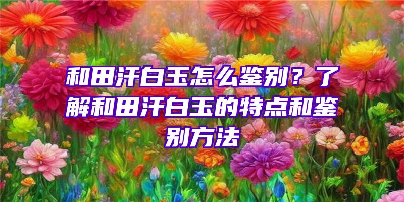 和田汗白玉怎么鉴别？了解和田汗白玉的特点和鉴别方法