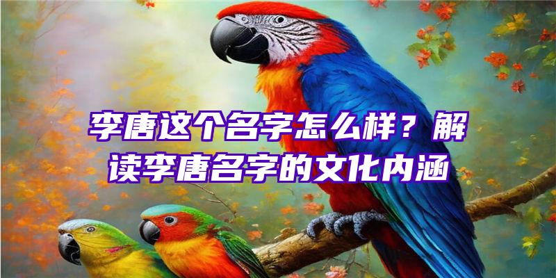 李唐这个名字怎么样？解读李唐名字的文化内涵