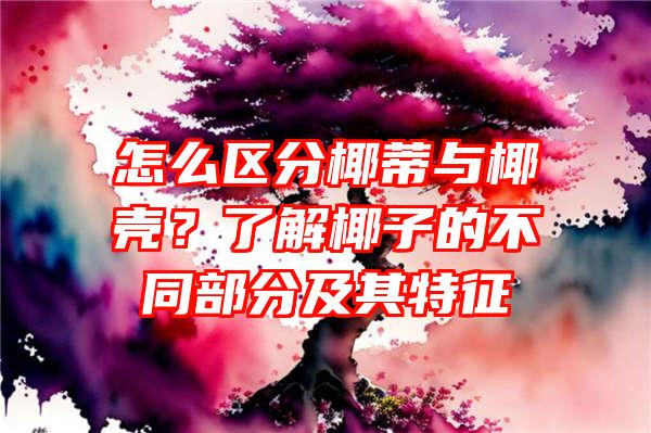 怎么区分椰蒂与椰壳？了解椰子的不同部分及其特征