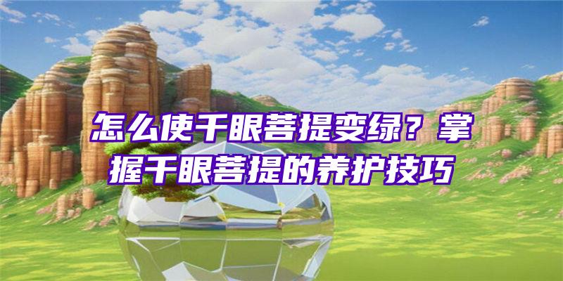 怎么使千眼菩提变绿？掌握千眼菩提的养护技巧