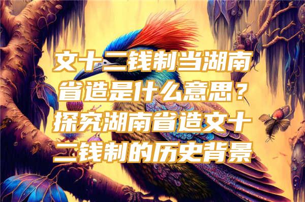 文十二钱制当湖南省造是什么意思？探究湖南省造文十二钱制的历史背景