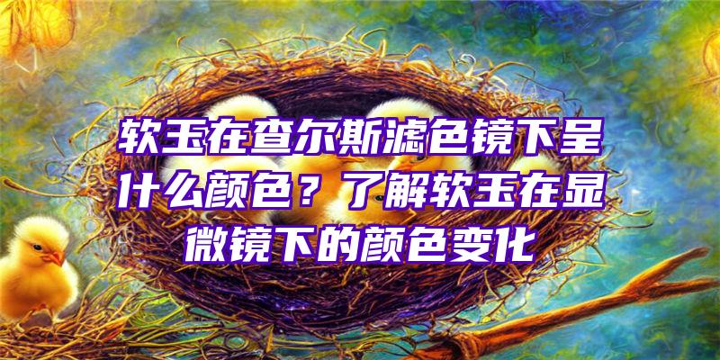 软玉在查尔斯滤色镜下呈什么颜色？了解软玉在显微镜下的颜色变化