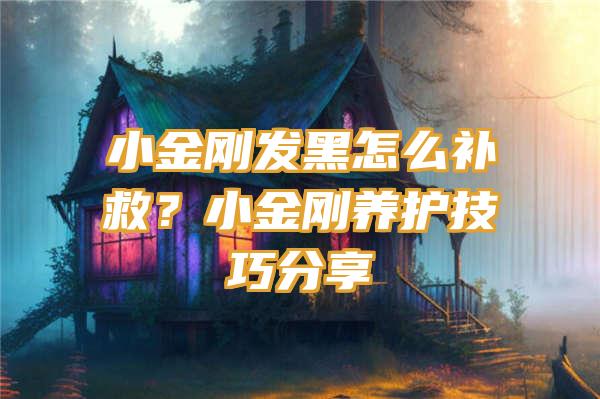 小金刚发黑怎么补救？小金刚养护技巧分享