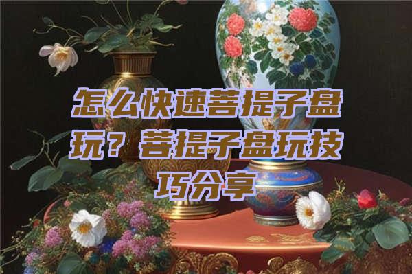 怎么快速菩提子盘玩？菩提子盘玩技巧分享