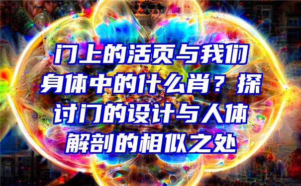 门上的活页与我们身体中的什么肖？探讨门的设计与人体解剖的相似之处