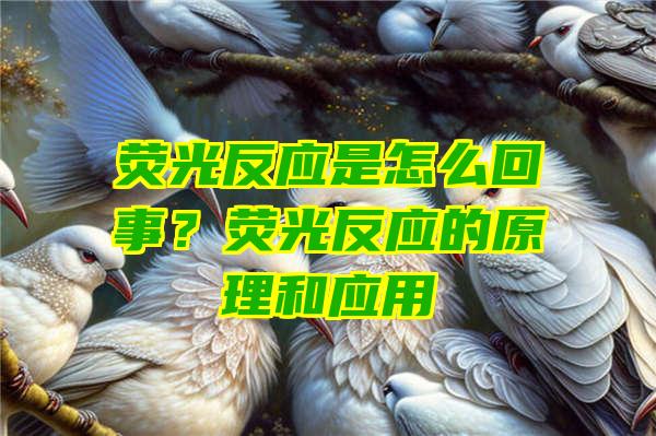 荧光反应是怎么回事？荧光反应的原理和应用