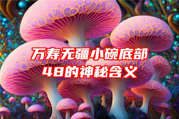 万寿无疆小碗底部48的神秘含义