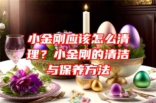 小金刚应该怎么清理？小金刚的清洁与保养方法