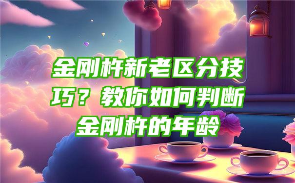 金刚杵新老区分技巧？教你如何判断金刚杵的年龄