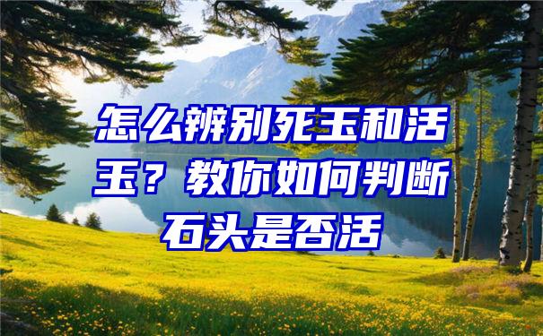 怎么辨别死玉和活玉？教你如何判断石头是否活