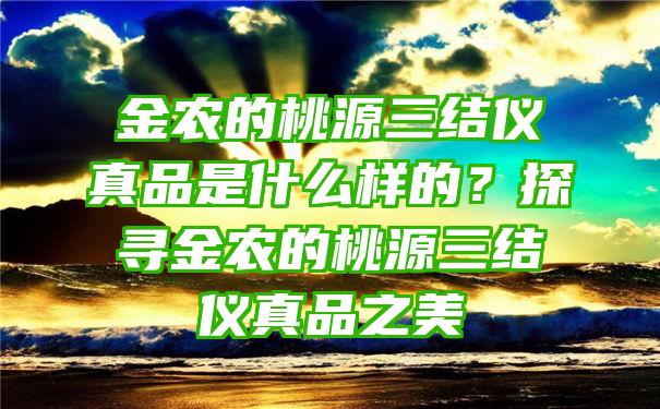 金农的桃源三结仪真品是什么样的？探寻金农的桃源三结仪真品之美