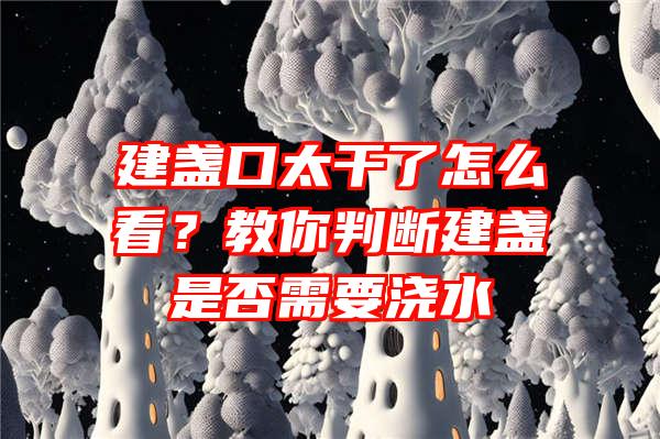 建盏口太干了怎么看？教你判断建盏是否需要浇水