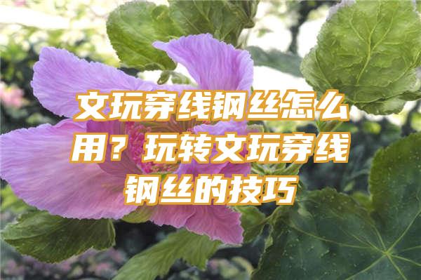 文玩穿线钢丝怎么用？玩转文玩穿线钢丝的技巧