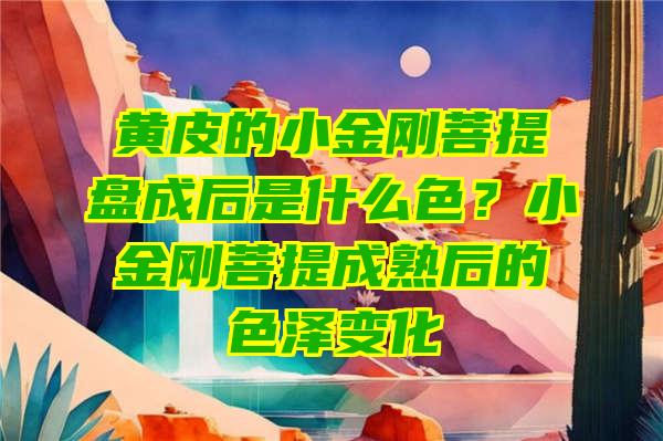 黄皮的小金刚菩提盘成后是什么色？小金刚菩提成熟后的色泽变化