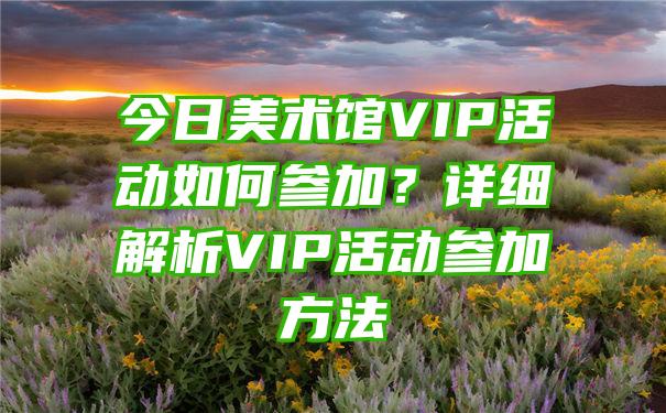 今日美术馆VIP活动如何参加？详细解析VIP活动参加方法