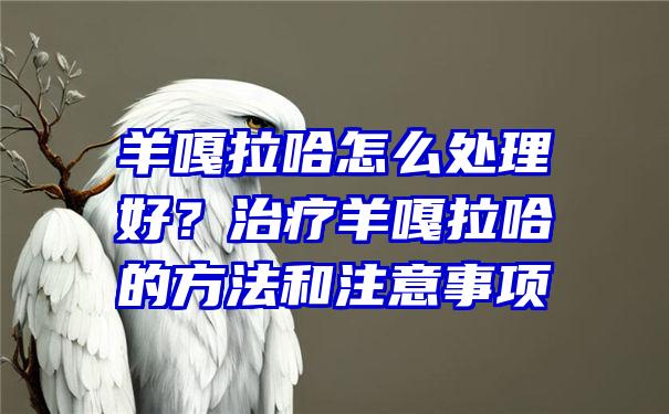 羊嘎拉哈怎么处理好？治疗羊嘎拉哈的方法和注意事项