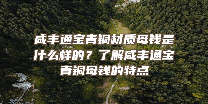 咸丰通宝青铜材质母钱是什么样的？了解咸丰通宝青铜母钱的特点