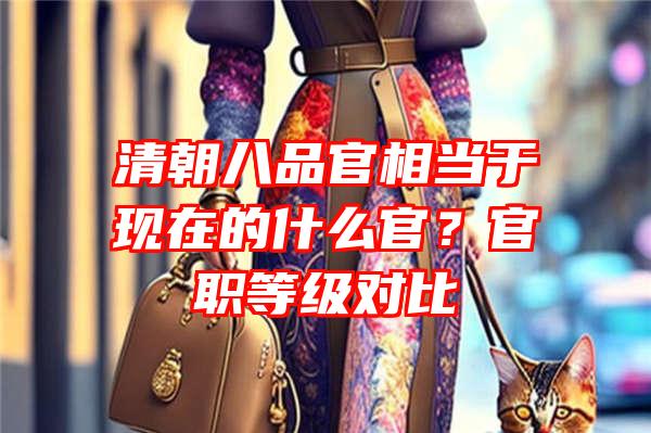 清朝八品官相当于现在的什么官？官职等级对比