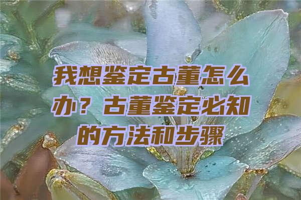 我想鉴定古董怎么办？古董鉴定必知的方法和步骤