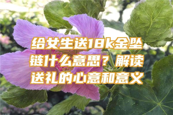 给女生送18k金坠链什么意思？解读送礼的心意和意义