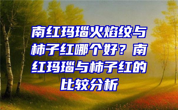 南红玛瑙火焰纹与柿子红哪个好？南红玛瑙与柿子红的比较分析