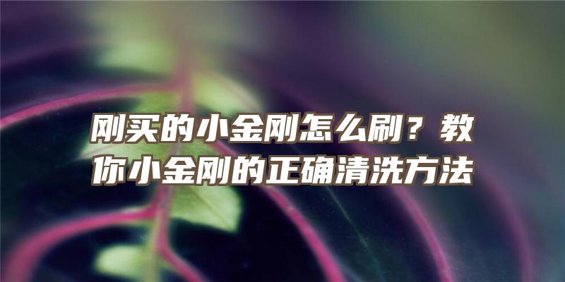 刚买的小金刚怎么刷？教你小金刚的正确清洗方法