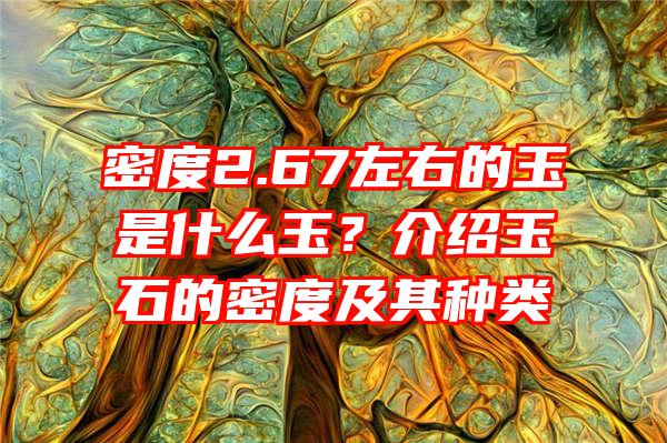 密度2.67左右的玉是什么玉？介绍玉石的密度及其种类